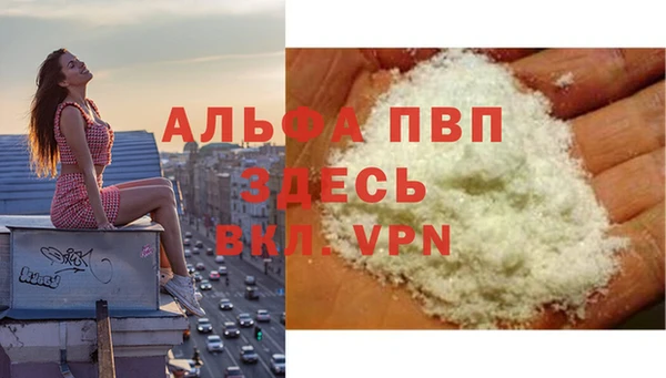 СК Балахна