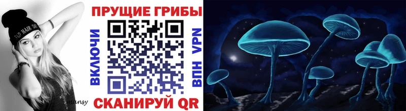 гидра вход  Горно-Алтайск  Псилоцибиновые грибы MAGIC MUSHROOMS 